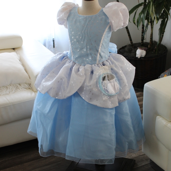 CINDERELLA COSTUME - Picture 2 of 14